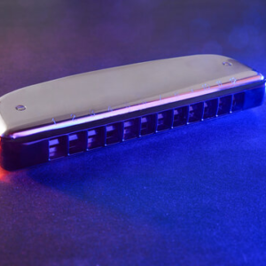 Professional Chromatic Harmonica – 12-Hole, Key of C