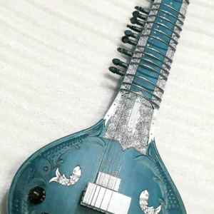 Electric Sitar - Modern Sound, Traditional Soul