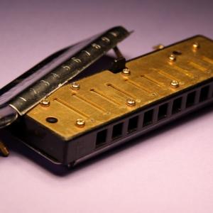 Professional Diatonic Harmonica – 10-Hole, Key of C