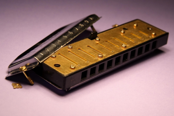Professional Diatonic Harmonica – 10-Hole, Key of C
