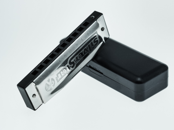 Professional 10-Hole Diatonic Harmonica – Key of C