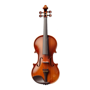 Artisan Acoustic Violin - Rich Warm Tone & Elegant Finish