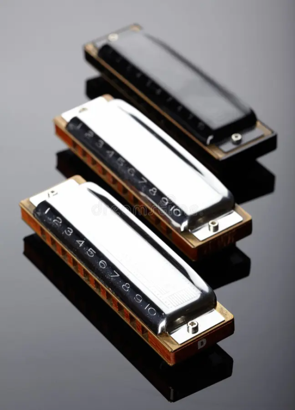 Hohner Harmonica Set - Beginner to Intermediate Diatonic Harmonicas